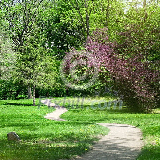 green park in spring green park in spring