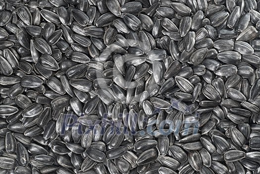 background from black sunflower seeds background from black sunflower seeds
