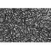 background from black sunflower seeds