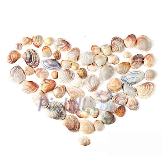 heart for valentine's day from color shells isolated on white