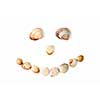 smile from various color shells isolated on white