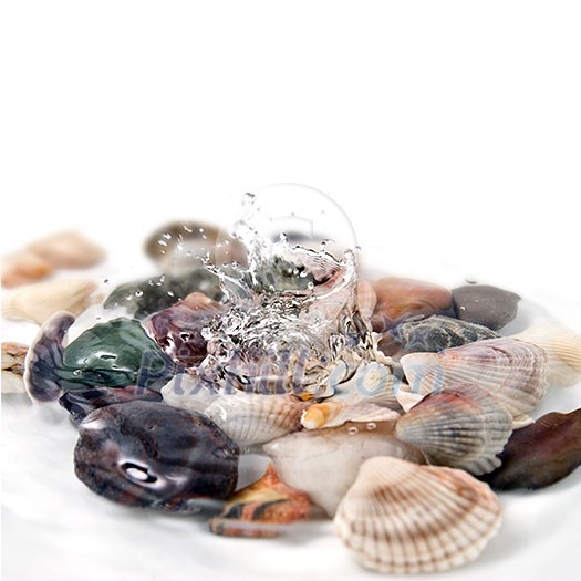 water splash with various color shells isolated on white water splash with various color shells isolated on white