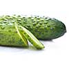 green cucumber with water drops isolated on white