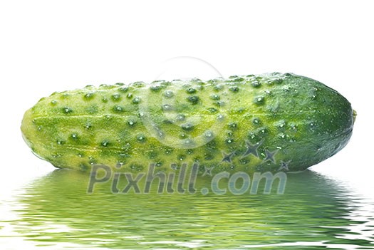 green cucumber with water drops isolated on white