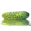 green cucumber with water drops isolated on white