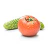 red tomato and green cucumber with water drops isolated on white