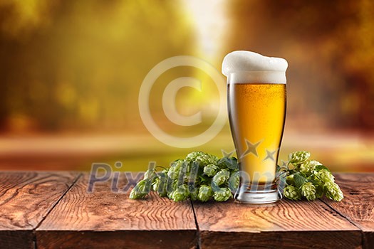Beer glass served on wooden desk . Hop-field on background Beer glass served on wooden desk . Hop-field on background