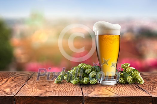 glass with Beer with hop on a wooden table on a background of nature