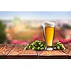 glass with Beer with hop on a wooden table on a background of nature