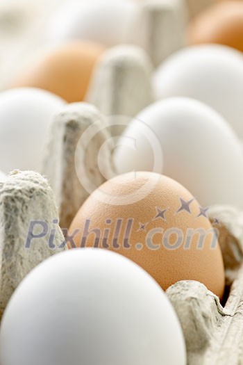 Closeup of white and brown eggs in carton Closeup of white and brown eggs in carton