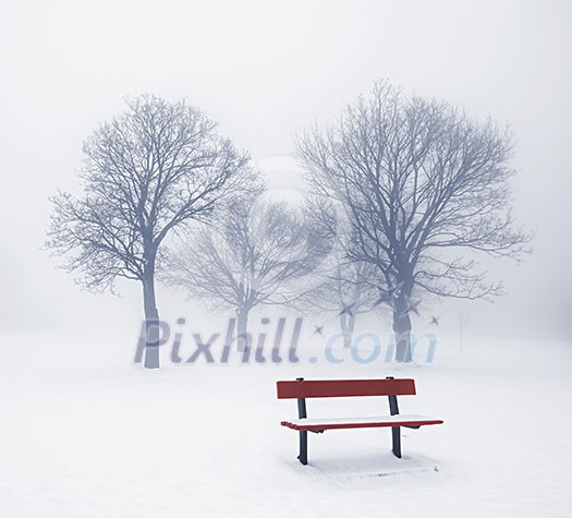Foggy winter scene with leafless trees and red park bench