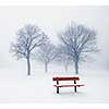 Foggy winter scene with leafless trees and red park bench