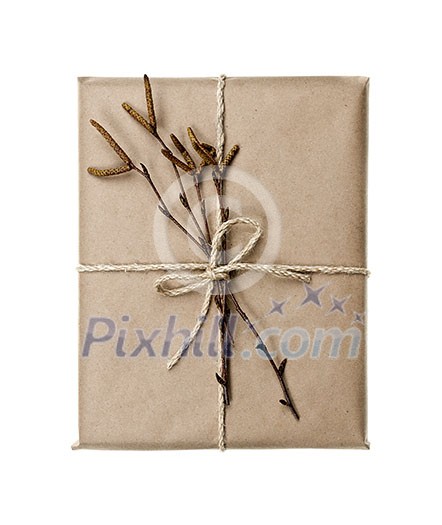 Simple gift package in brown paper decorated with birth branches isolated on white background
