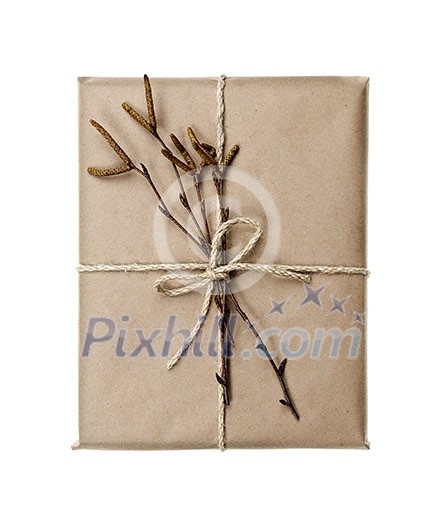 Simple gift package in brown paper decorated with birth branches isolated on white background Simple gift package in brown paper decorated with birth branches isolated on white background