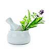 Healing herbs in white ceramic mortar and pestle isolated on white background