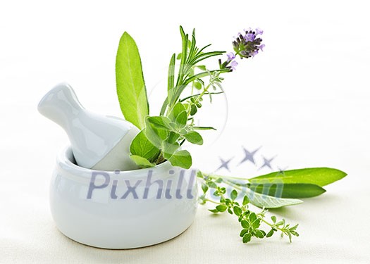 Healing herbs in white ceramic mortar and pestle Healing herbs in white ceramic mortar and pestle