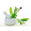 Healing herbs in white ceramic mortar and pestle
