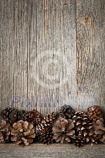 Rustic natural wooden background with pine cones