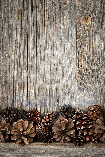 Rustic natural wooden background with pine cones Rustic natural wooden background with pine cones