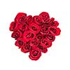 Heart made of fresh red roses on white background