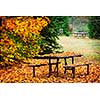 Picnic table covered with colorful fall leaves, Algonquin Park, Canada.