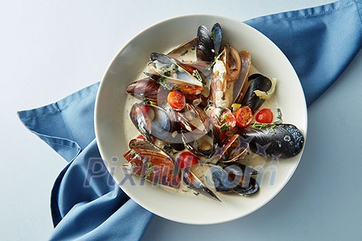 Mussel with white wine sauce on a light background Mussel with white wine sauce on a light background
