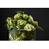 hops in a beer glass with green leaves. Fresh herbal ingredient for beer production. Selective focus