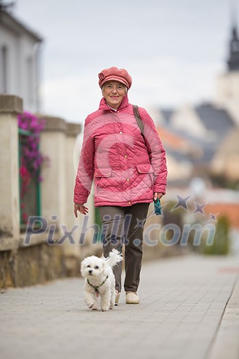 Senior woman walking her little dog on a city street; looking happy and relaxed (shallow DOF) Senior woman walking her little dog on a city street; looking happy and relaxed (shallow DOF)
