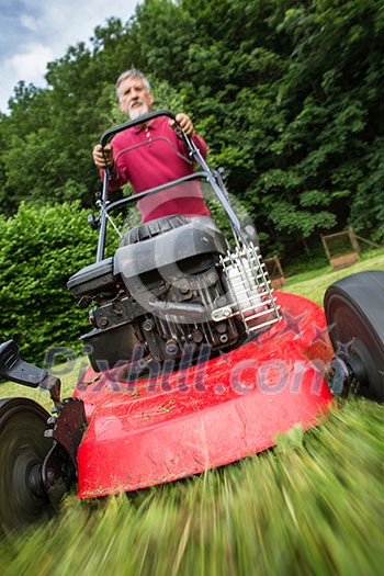 Senior man mowing the lawn in his garden (selective focus; shallow DOF)