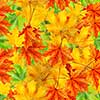 seamless pattern of Autumn background with maple color leaf