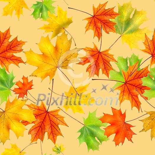 seamless pattern of colorful background made of fallen autumn leaves