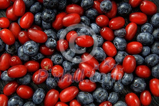 different fresh berries as background. blueberry and dogwood