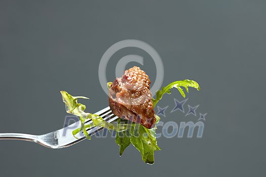 duck meat and salad on a fork Isolated on black duck meat and salad on a fork Isolated on black