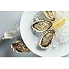 isolated white plate of opened oysters with lemon on white