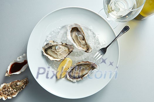Seafood. Delicious oyster with lemon on white plate and glass wine in the white background Seafood. Delicious oyster with lemon on white plate and glass wine in the white background