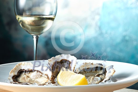 Oysters in a white plate with lemon and a glass of wine