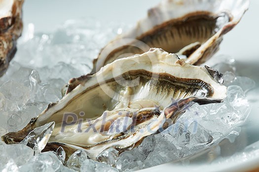 A platter of fresh raw oysters on ice at an outdoor cafe. A platter of fresh raw oysters on ice at an outdoor cafe.