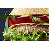 Fresh burger with beef, cheese, onion and tomatoes. Isolated on dark background