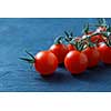 Ripe fresh cherry tomatoes on branch Isolated on blue background