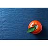 fresh red tomato with green leaves on blue background