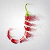 Fresh chopped red chilies into chili powder fly on white background