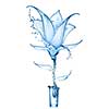 blue flower made of water splashes from glass isolated on white background