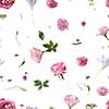 Seamless pattern. Various soft flowers and leaves scattered on a white background,
