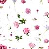 Seamless pattern. Various soft flowers and leaves scattered on a white background,