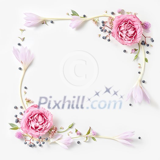 Fresh pink roses frame border isolated and copyspace for text on white background