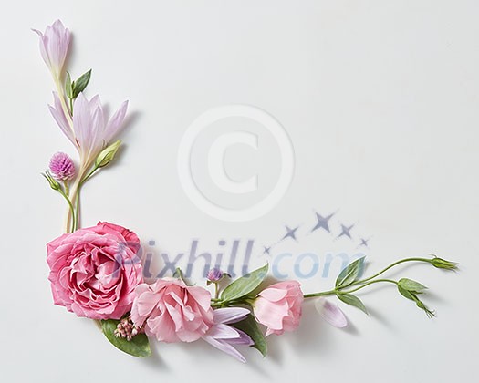 beautiful roses frame with space for text in white background
