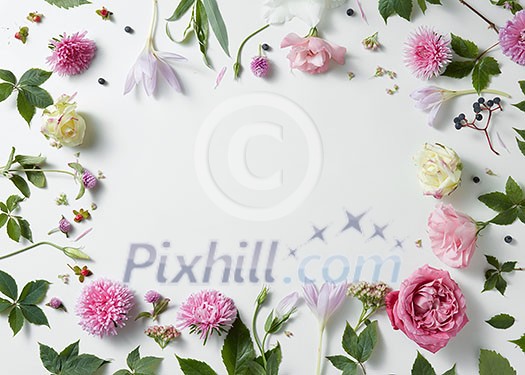 border of pink and white roses with green leaves on white background