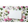 Beautiful spring floral frame on a white background is made of white flowers with a special place for your text