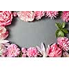 Beautiful pink flowers frame on black background
