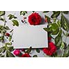 Beautiful spring floral frame on a gray background is made of red flowers with a special place for your text